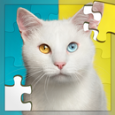 Cats Jigsaw Puzzles Game aplikacja
