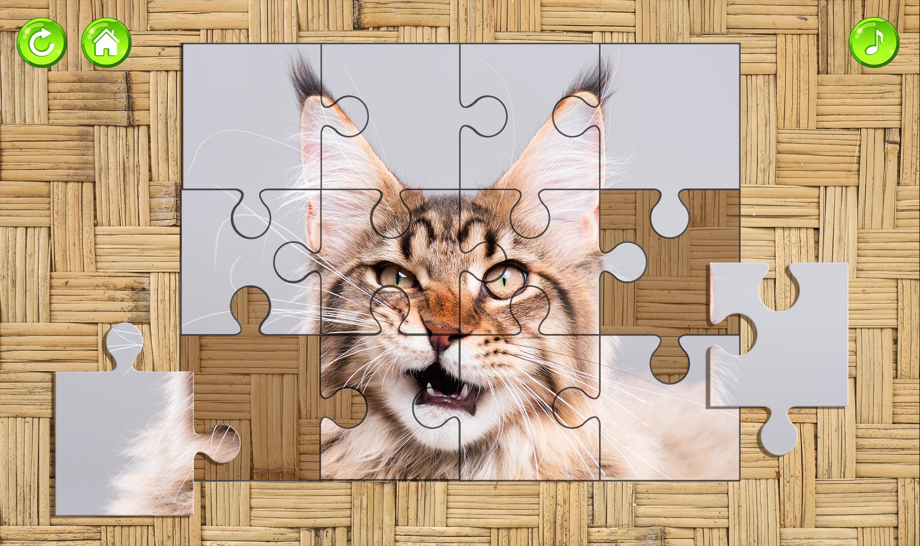 Block cat puzzle