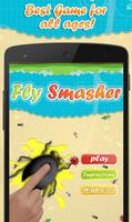 Fly Smasher Affiche