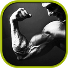 Bicep Workouts أيقونة