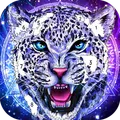 Animal Color