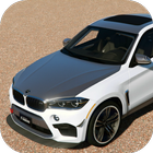 Drive BMW X6 icon