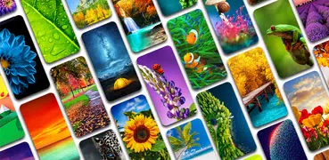 Auto Wallpapers Changer 4K