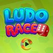 MTT-Ludo Race