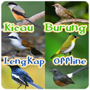 Kicau Burung Lengkap Offline APK