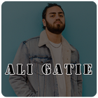 New Songs ALI GATIE 2020 Offline icône