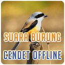 Suara Burung Cendet Offline APK