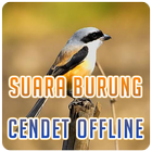 Suara Burung Cendet Offline simgesi