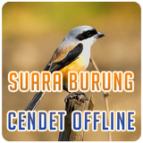 Suara Burung Cendet Offline simgesi