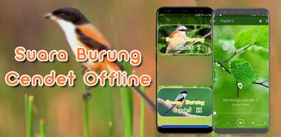 Suara Burung Cendet Offline gönderen