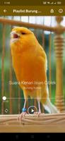 Suara Burung Kenari Offline capture d'écran 2