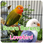 Suara Burung Lovebird Offline icono