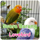 Suara Burung Lovebird Offline simgesi