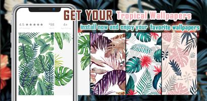Tropical Wallpapers gönderen