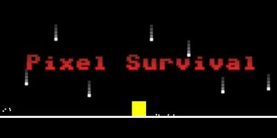 Pixel Survival Affiche