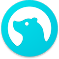 Bearbook :- GST Ready Accounti