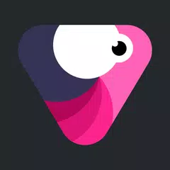 Velomingo: Velocity Edit Maker APK 下載