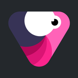 Velomingo: Velocity Edit Maker APK