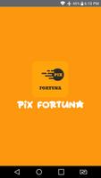 Pix Fortuna Cartaz