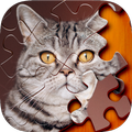 Jigsaw Puzzle