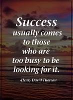 Success Quotes 스크린샷 1