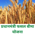 PM Fasal Bima Yojana