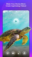 Скачать Photo Edit, Background Changer XAPK