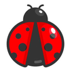 How to draw Ladybug and Noir