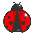 How to draw Ladybug and Noir