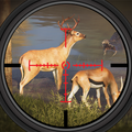 Deer Hunting:Animal Games 3D