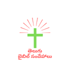 Bible Questions Telugu icône