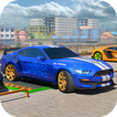 Advance Car Parking -Car Drive