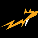 СтрелКар APK