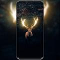 Deer Wallpaper