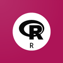 Learn R Programming APK