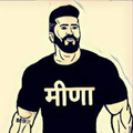 Meena Ji Status