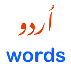 Urdu Words - PKLearn 圖標