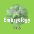 NeuroEmbryology MCQs P