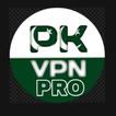 PK VPN PRO