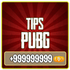 Info Pubg 2018 APK