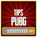 Info Pubg 2018 APK