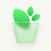 Plant Care - Plant Wiki & Tips