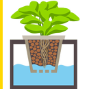 How to Grow Hydroponics APK