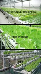 How to Grow Hydroponics APK download