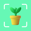 PlantCam：AI 植物、花を識別する
