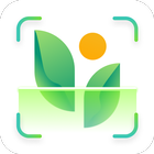 Plant Identifier & Plant Care آئیکن