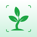 Plant Identifier - Plant Care APK