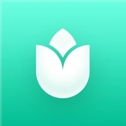 PlantIn: Plant Identifier icono