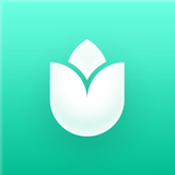PlantIn: Plant Identifier aplikacja