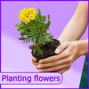APK The flowers - plant identifier